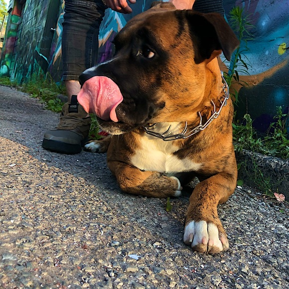 Meet your Posher, Zack - Picture 1 of 1